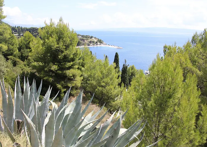 Split Hotel Podstrana