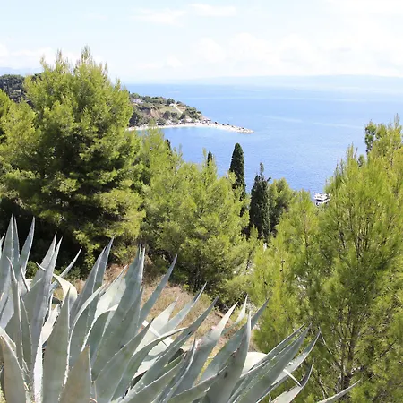 Split Hotel Podstrana